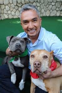 Cesar Millan with Daddy (right) and Junior (left)